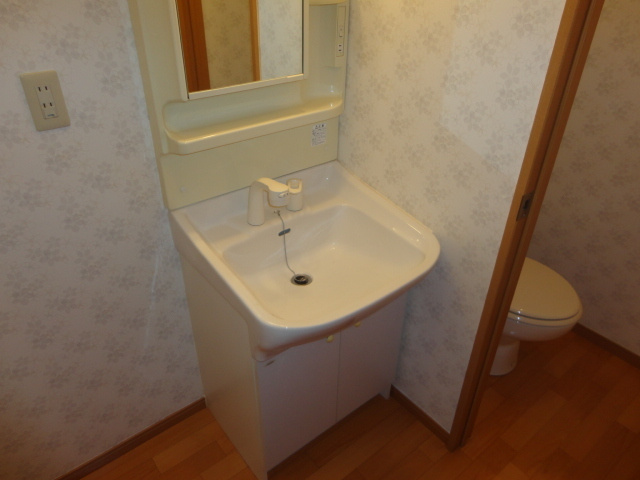 石田マンションの洗面所