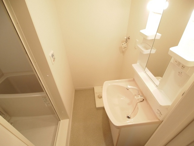 エスペランサ二上の洗面所