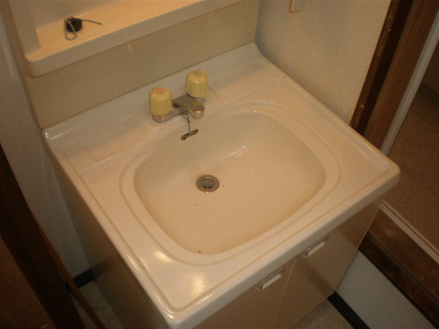 竜田マンションの洗面所