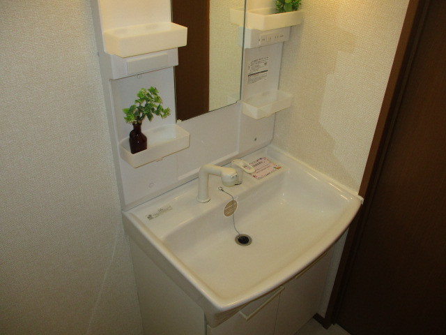 グリーンヴィレッジあいの洗面所