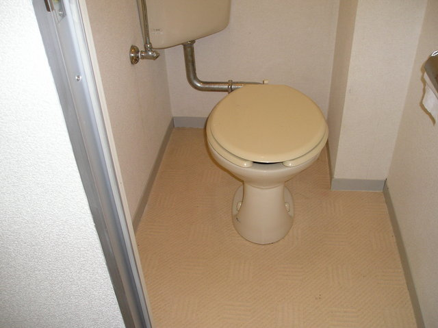 サザンヒル三郷のトイレ