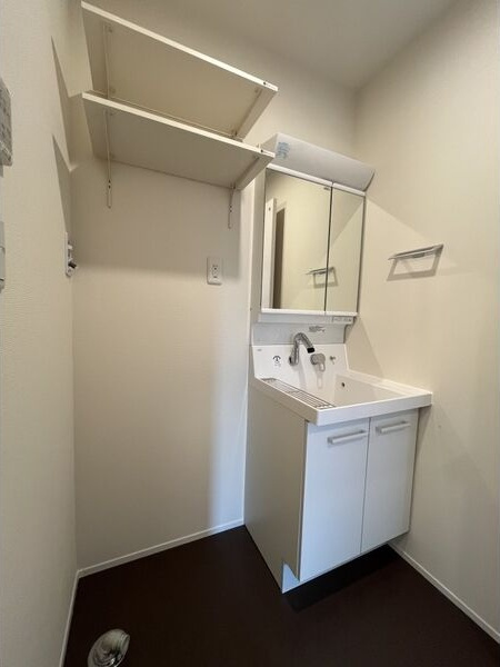 アベニール柏木(新宿区北新宿2丁目)の洗面所