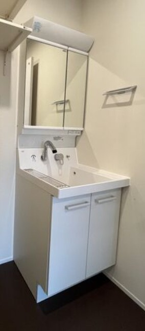 アベニール柏木(新宿区北新宿2丁目)の独立洗面台