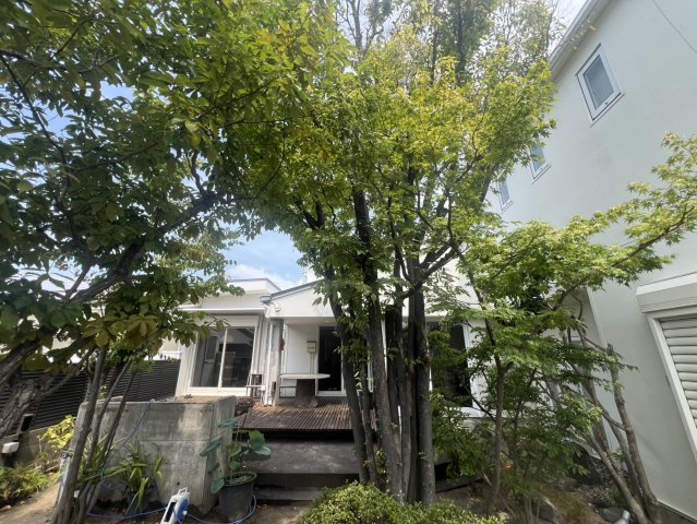 和歌山市関戸4丁目・中古戸建・54697の庭