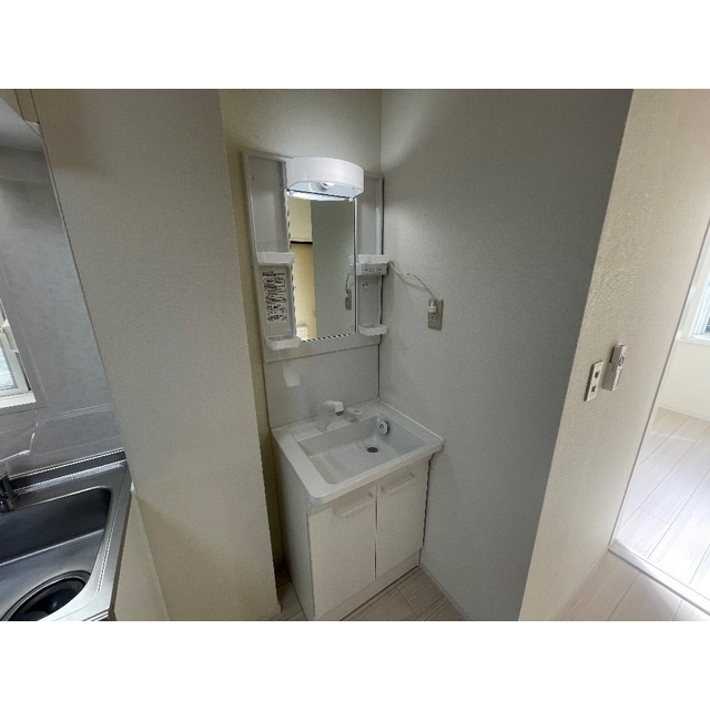 マルスハイツ大原の洗面所