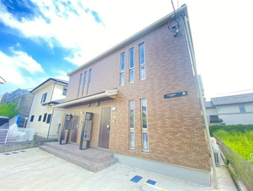 El DORADO OYUMINOの画像