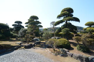 いすみ市新田野　中古戸建の庭|和風2階建5LDK9.2万円賃貸中　平成16年7月築2LDK平家6万円賃貸中 敷地約339坪 