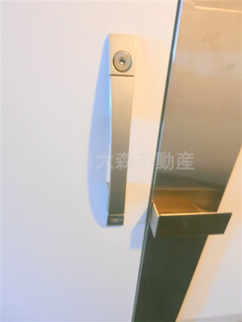 カスタリア大森Ⅱ@仲介手数料無料の玄関