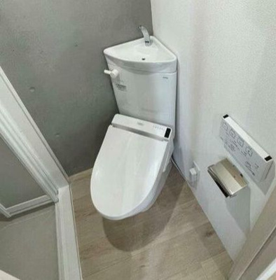 【トイレ】 | Ｇｌａｎｚ目白Ⅱ(グランツ目白Ⅱ) | トイレ☆