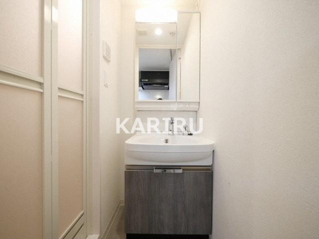 プレサンス森ノ宮　THEゲートの洗面所