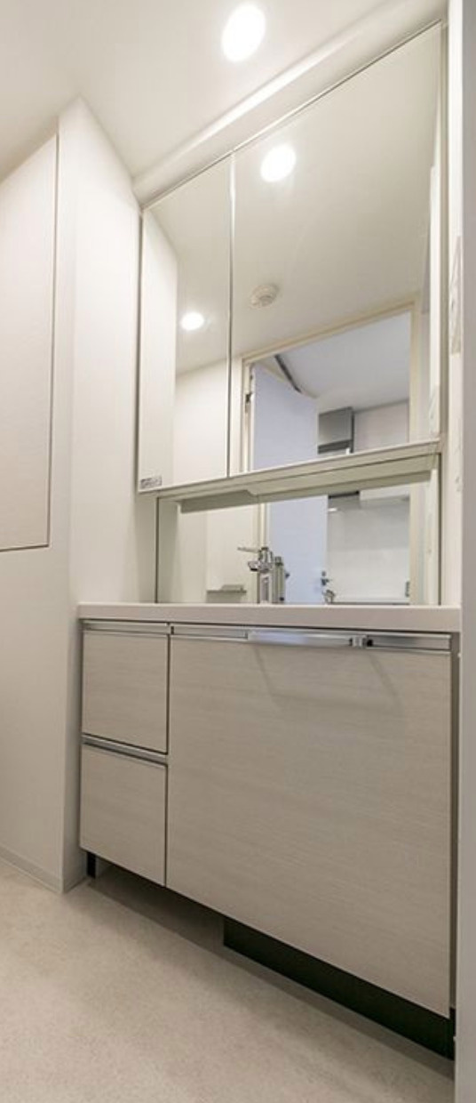 ライオンズフォーシア築地ステーションの独立洗面台