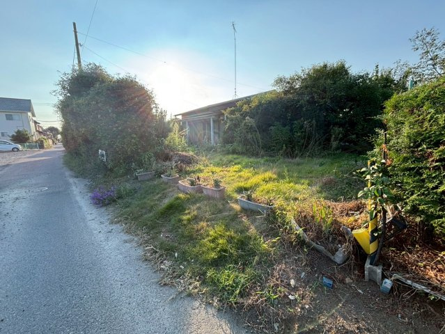 水戸市住吉町　中古戸建の庭