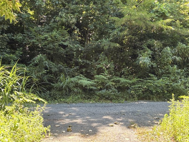 高島市マキノ町寺久保696-30　売土地