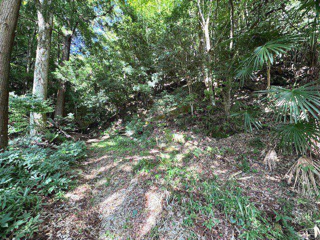 朝来市山東町大垣　土地の外観