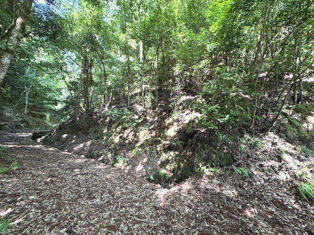 朝来市山東町大垣　土地の外観