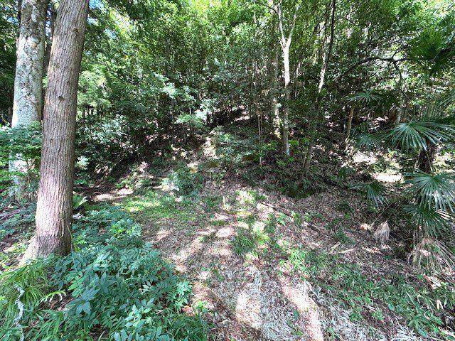 朝来市山東町大垣　土地の外観