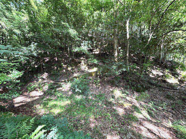 朝来市山東町大垣　土地の外観