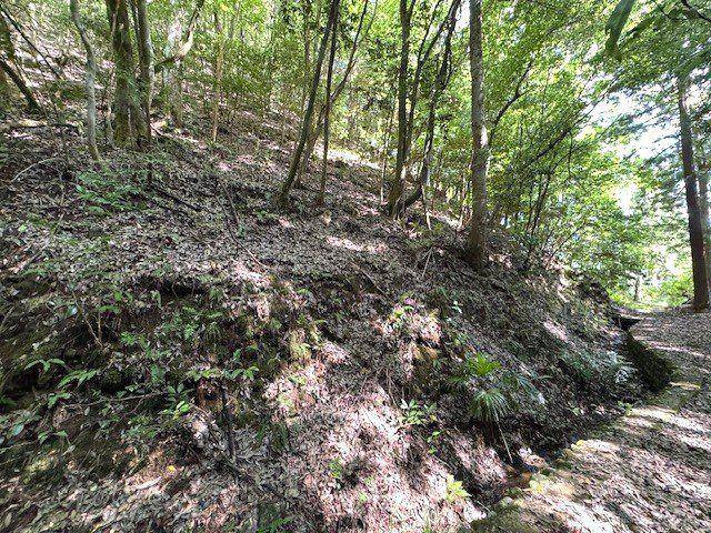 朝来市山東町大垣　土地の外観