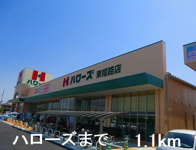 【周辺】 | エテルナ | ハローズまで1100m