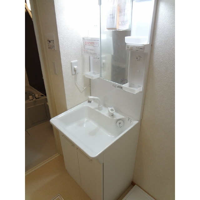 アムールMiwaの洗面所