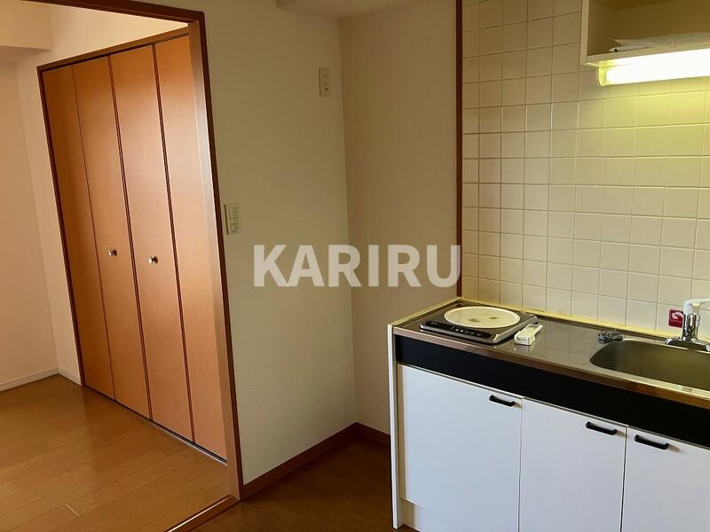 インフィルドⅡの居間・リビング