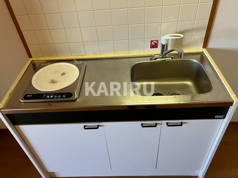 インフィルドⅡのキッチン