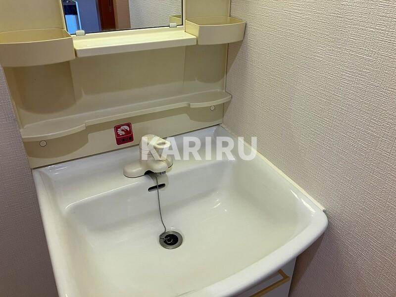 インフィルドⅡの洗面所