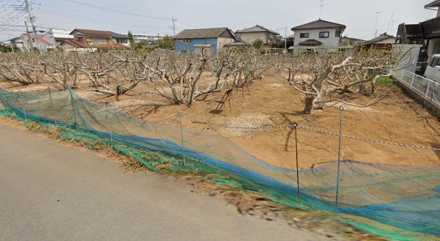 茨城県土浦市並木2丁目　土地の外観