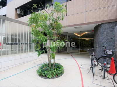 【エントランス】 | セレニテ本町グランデ