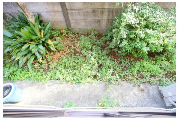 エスポワール(中野区)のバルコニー