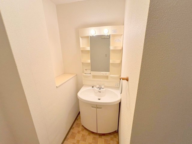 メゾン三和ドライの洗面所