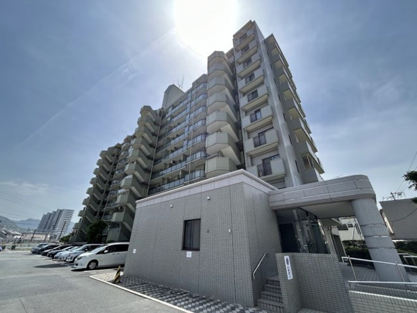 ステイツ野村向洋の画像