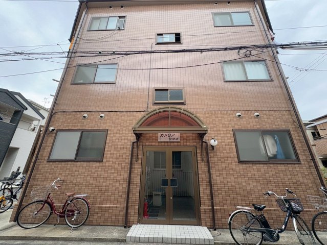 カメリア俊徳道