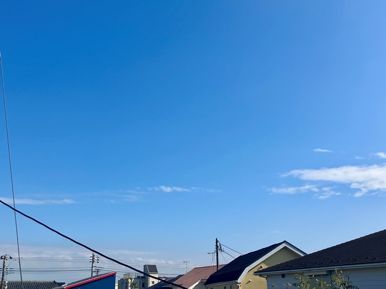 本鵠沼戸建の展望