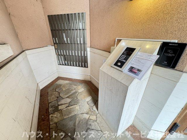 コートウィッシュのその他