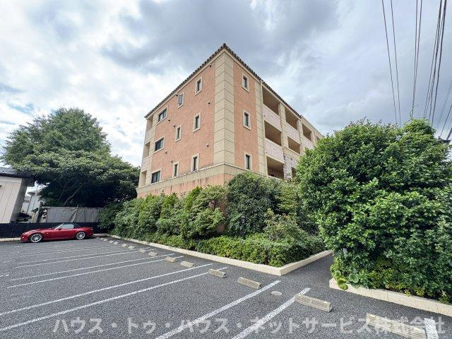 コートウィッシュのその他