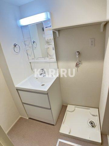 グランデュール新森の洗面所