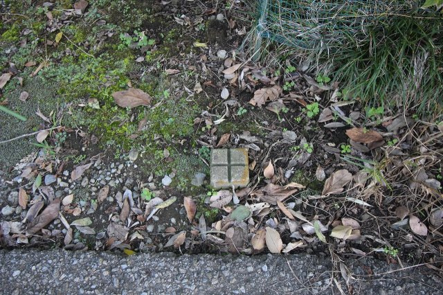 小山市犬塚の外観|南側隣地との境界（2025年10月撮影）