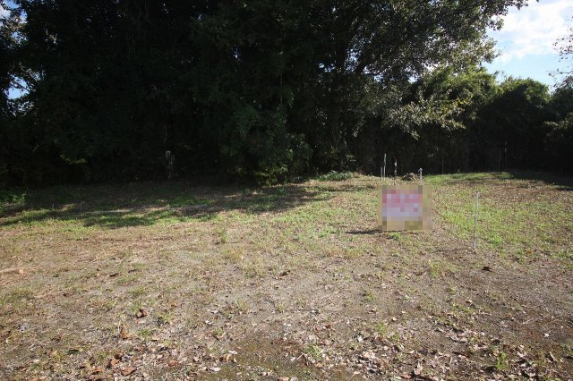 小山市犬塚の外観|現地を西側から撮影（2025年10月撮影）小鳥のさえずりがここちよい、自然豊かなお土地です！