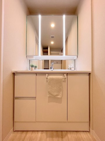 エフローレ新三郷216の独立洗面台|三面鏡付きシャワードレッサーで朝の準備も快適