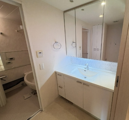 プラウド江坂の洗面所