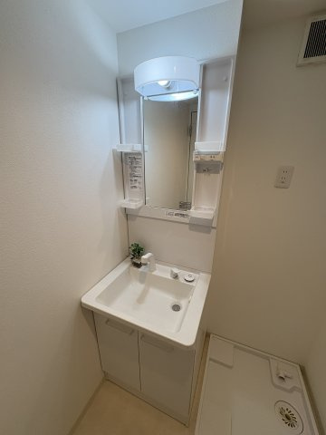 グランメール片山町の洗面所