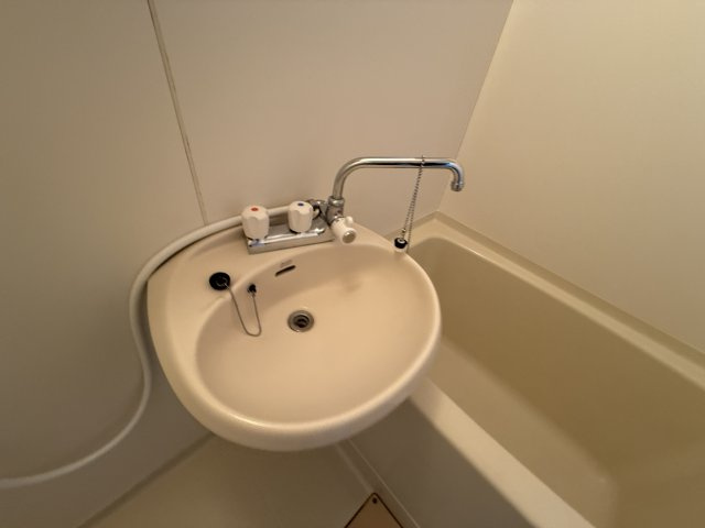 パークウッドプレイスの洗面所