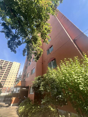 【その他】 | クオリティ大山 |  