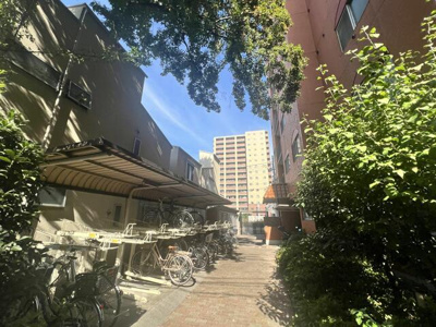 【その他】 | クオリティ大山 |  