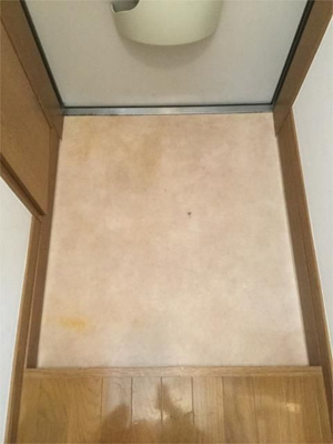 【玄関】 | ドミール-下石原2丁目-