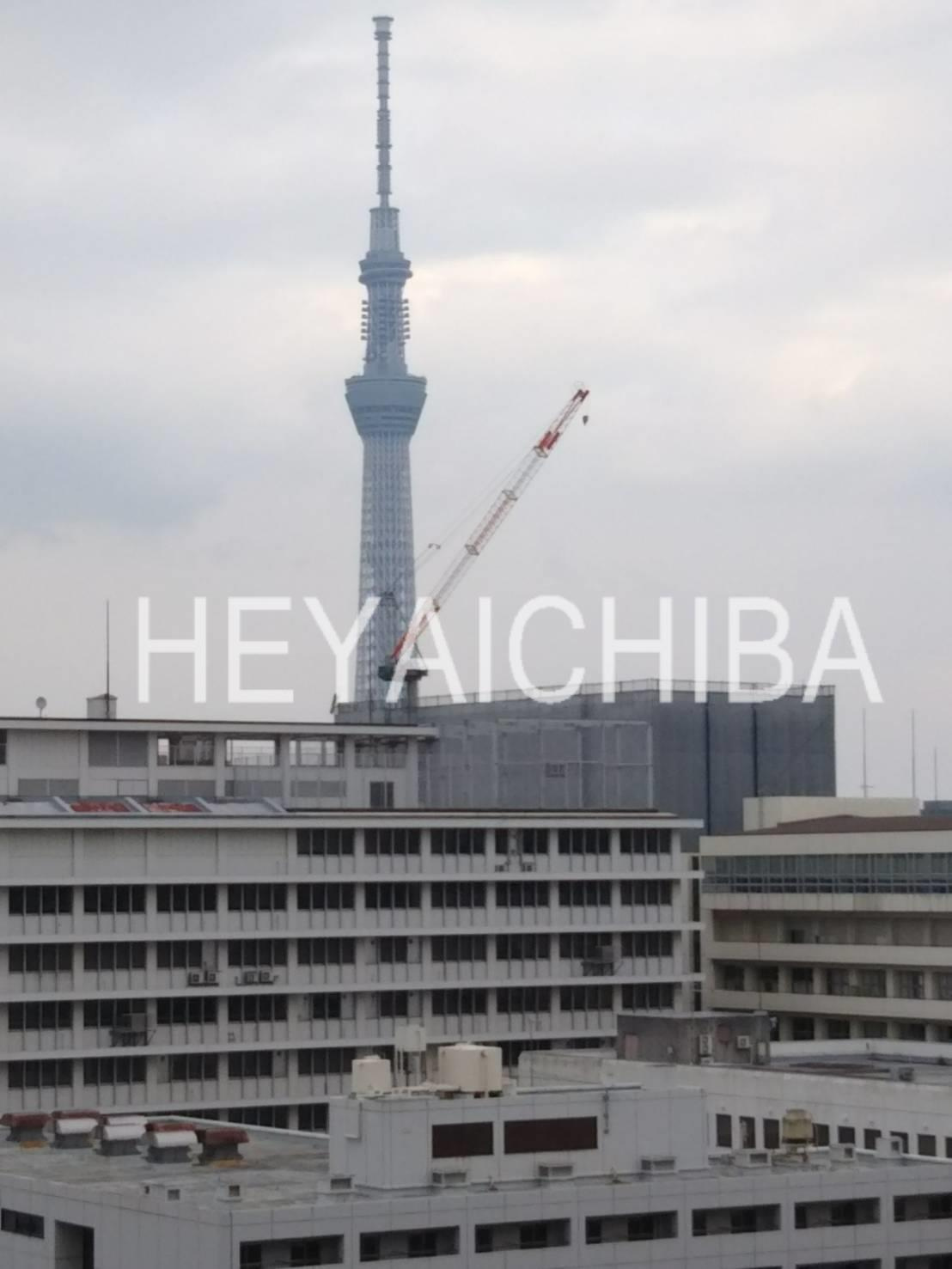 ワイズ柳橋の展望