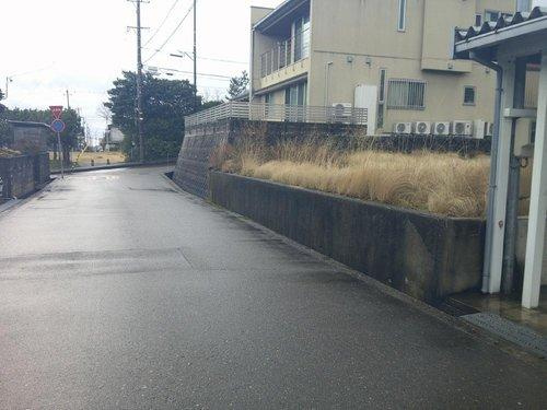 内灘町大学の前面道路含む現地写真|現地（2025年1月）撮影