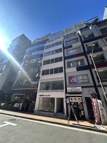 ホワイト銀座ビルの外観