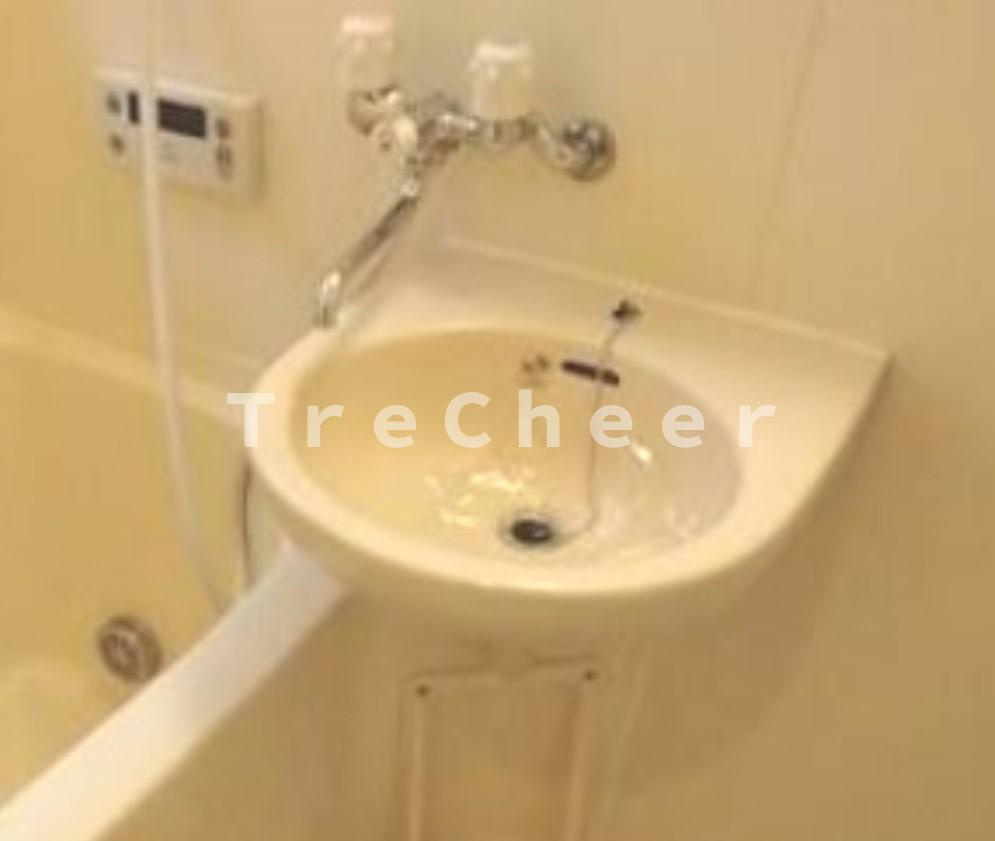 針谷邸の洗面所